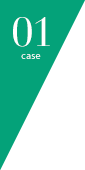 01 case
