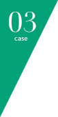 03 case
